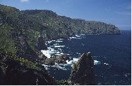 Cabo Ortegal 