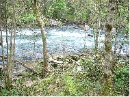 Río Eume. As fragas