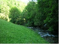 Río  Lor. Afluente do Sil